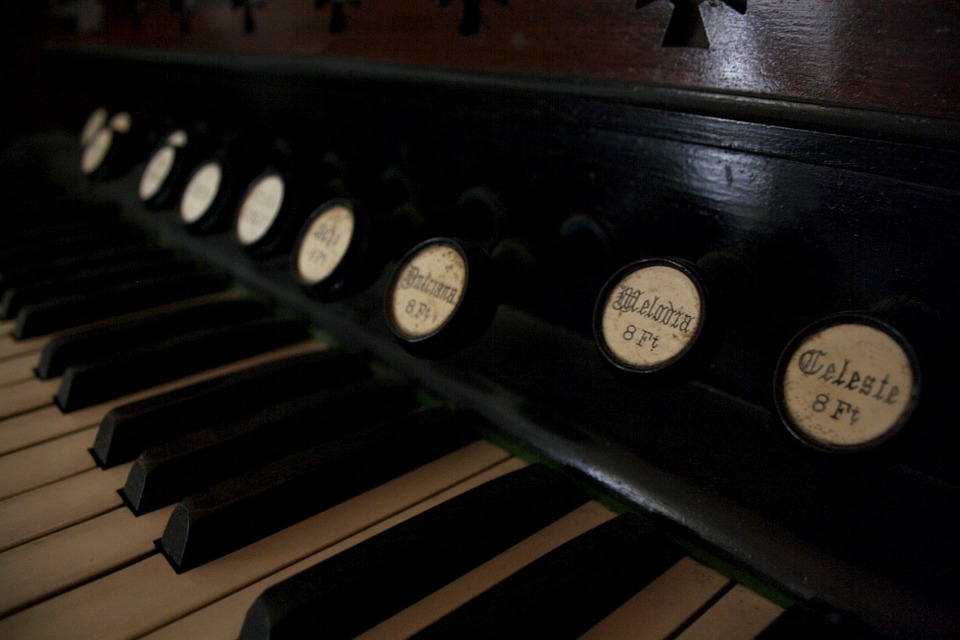 Appreciate Fine Music Produced From Accordions